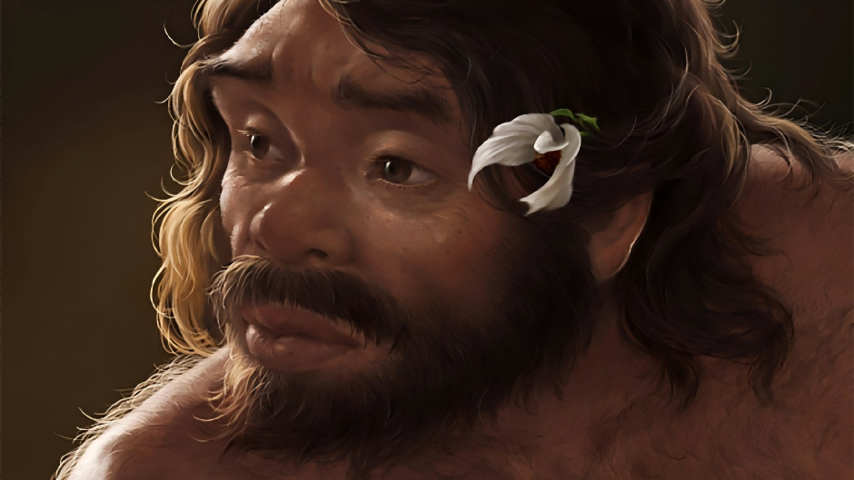 百万年前头骨化石改写人类家谱 ​中国新研究刷新人类演化时间线，证实丹尼索瓦人属于龙人支系